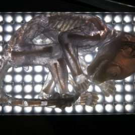 Pièce multi-matières