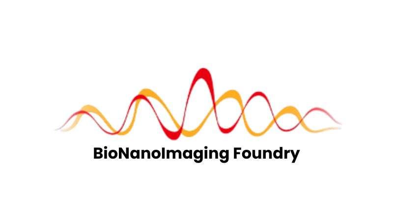 Logo de la plateforme BNIF