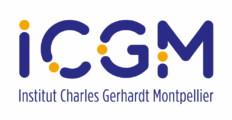 Logo ICGM