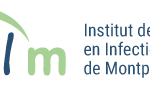 Logo IRIM