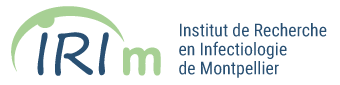 Logo IRIM