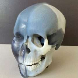 Reproduction multi-matières